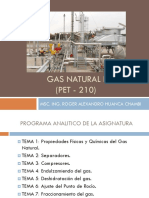 Presentación e Introducción Gas Natural I