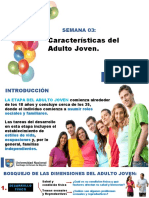 Caracteristicas Del Adulto Joven