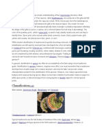 Classification: Macroscopic Basidiomycetes Basidiospores Basidia