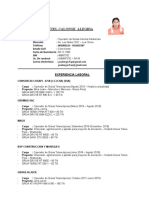 CV - Pedro Calonge 2019 Actualizado1