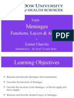 Meninges