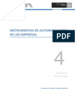 Tema 4 Instrumentos Autoregulacion 16-17