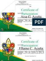 Certificate of Participation: Aisa G. Acuña