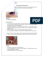 Taller 3 - Trauma Dento-Alveolar