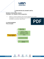 Taller Unidad Dento Gingival y Dento Alveolar Yuri Ospina Final