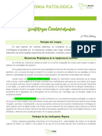 Capitulo I - Patologia Cardiovascular