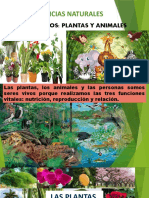 CCNN Plantas Animales