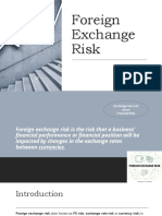 Foreign Exchange Risk