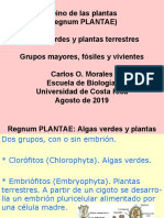 Reino Vegetal-Grupos Fósiles y Vivientes-Ago2019