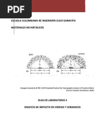 04 - Protocolo 2021 Práctica - Impacto MNMT