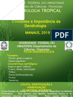 Tema 1 - Dendrologia Tropical 15.08 - Português