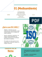 Iso 14001, Politica