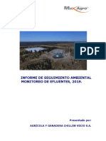 Informe Monitoreo Efluentes Rucapequen 2019