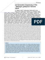 Meleagris Gallopavo: Multi-Platform Next-Generation Sequencing of The Domestic Turkey : Genome Assembly and Analysis