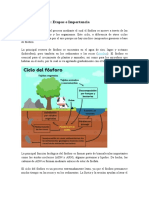 Ciclo Del Fósforo