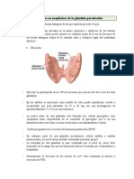 PARATIROIDES Alteraciones No Neoplásicas de La Glándula Ocx