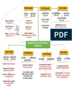 Mapa Conceptual