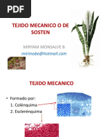 Tejido Vegetal