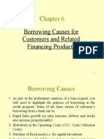 Borrowing Causes For Customers and Related Financing Products