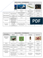 REINO ANIMAL - Invertebrados. Preenchido-2