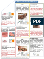 1-Guia de Manejo de LPP