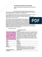 Clostridium Bifermentans