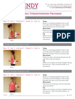 Shoulder Isometric Strengthening Program