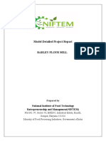 Barley Flour Mill DPR by NIFTEM