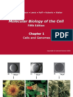 Molecular Biology of The Cell