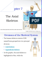 Skeletal System Axial