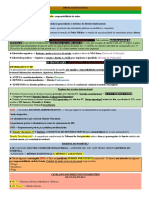 Resumo Completo PPMG Colorido