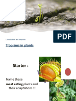 Tropisms in Plants: Coordination and Response