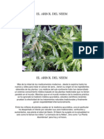 EL ARBOL DEL NEEM Propiedades Curativas