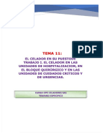 Pdf-Tema-11 Compress Unlocked