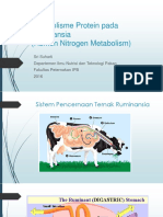 04 - Metabolisme Protein Pada Ruminansia