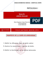 Patologia - Lesion Celular