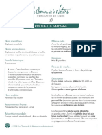 Formation Du Cueilleur - Fiche Plante - Roquette Sauvage - Print