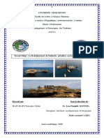 Travail Dirigé Sur L'industrie Pétrolière Au Gabon