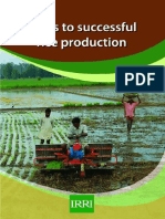 Rice Production Training