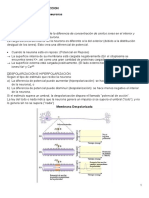 Potencial de Accion. Polarizacion Despolarizacion. Sinapsis