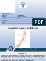 R. Practica 8 COMPLEJO ARTICULAR CODO