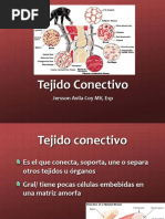 Presentacion Tejido Conectivo