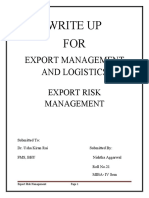 Risk in Export MGMNT