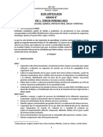 Guía Articulada 8º - Eje 1 - IIIP - 2021