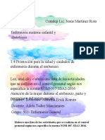 1.4 Promoción para La Salud y Cuidados de Enfermería Durante El Embarazo, Solórzano Alamilla Erick Román, 501 Enfermería