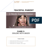 The Peaceful Parent Anger Cleanse Week 02