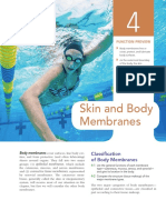 Chapter 4 Skin and Body Membranes