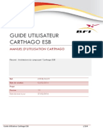 Guide D'utilisateur ESB