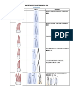 Exodoncia Forceps