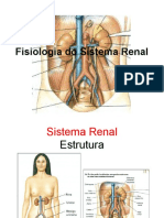 6 Aula Fisiorenal 2010